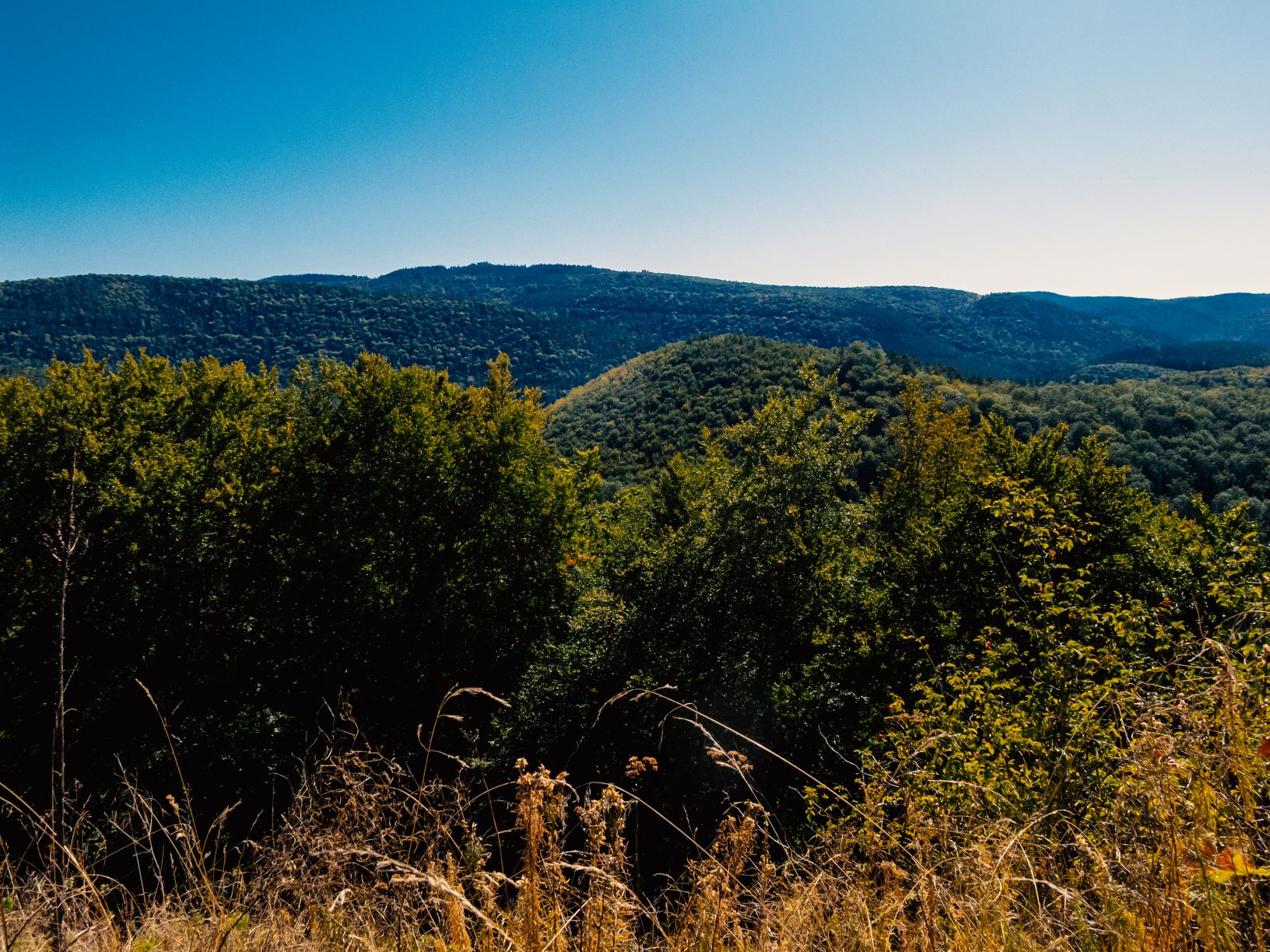 Naturwunder Sandsteinfelsen in den Nordvogesen – www.stormypictures.de