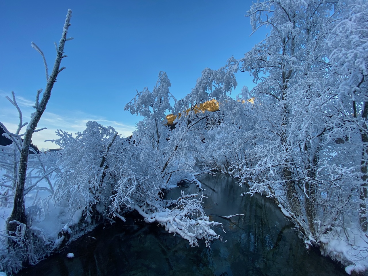 Winter Wonderland in den Bergen und traumhaft schöne Raureif-Formationen